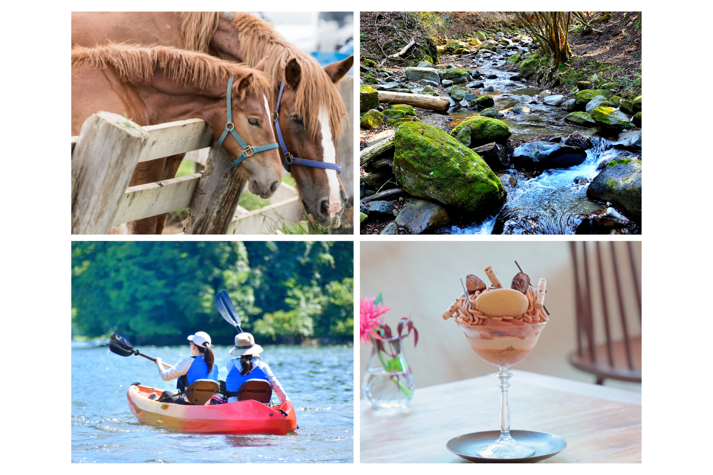やまなみアウトドア体験旅 〜牧場・清流・BBQで自然満喫〜